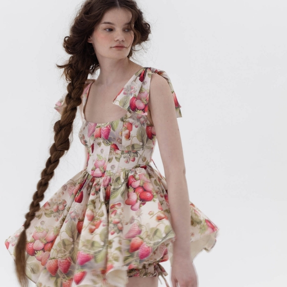 Strawberry Cream Farmer's Market Dress NWT Size L - Picture 4 of 7